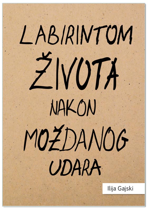 LABIRINTOM ŽIVOTA NAKON MOŽDANOG UDARA, Ilija Gajski