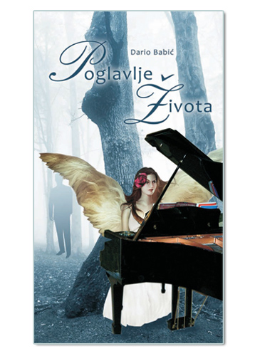 POGLAVLJE ŽIVOTA, Dario Babić