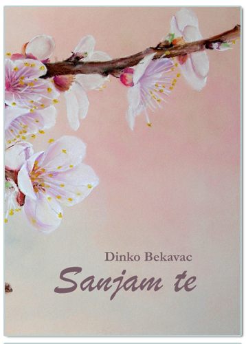 SANJAM TE, Dinko Bekavac