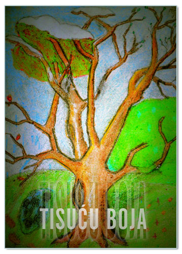 TISUĆU BOJA, Pisci i književnost - grupa autora